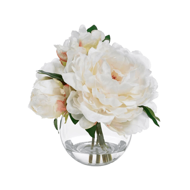 Diane James Peony blossom